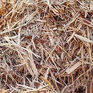 Щепа для арболита оптом в Набережных Челнах и других различных марок заказать от 16 тонн